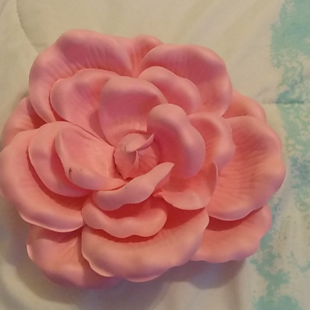 A cute pink flower